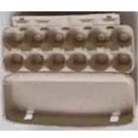 12 Egg Cartons